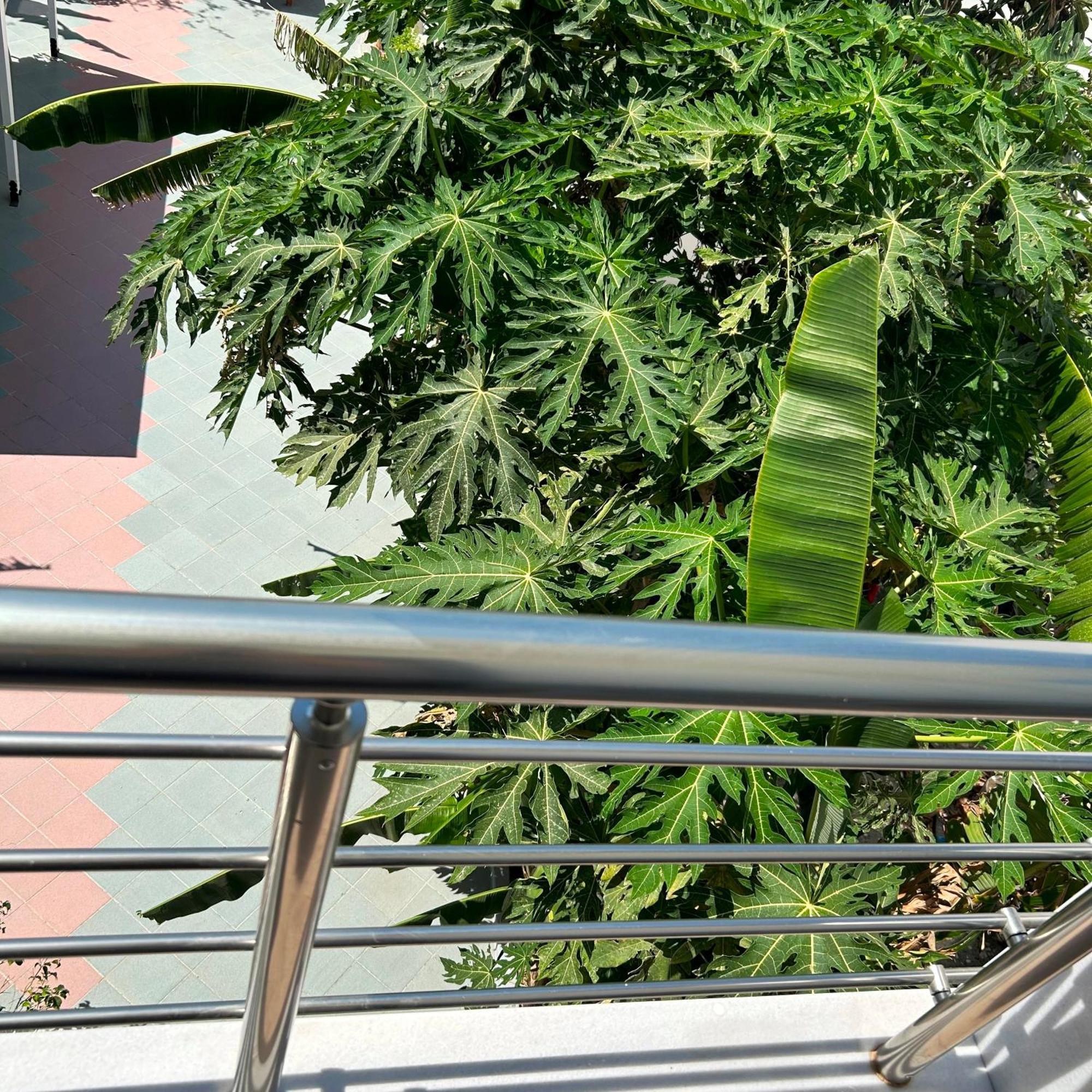 מסטיכרי Sea Breeze Hotel מראה חיצוני תמונה